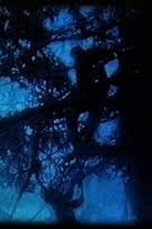 La Promenade Bleue