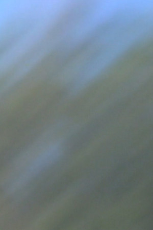 Clear Blue Sky