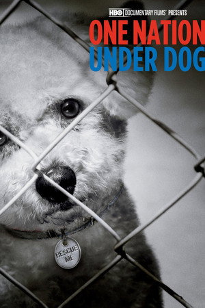 One Nation Under Dog: Stories of Fear, Loss and Betrayal