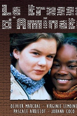 La tresse d'Aminata