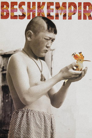 吉尔吉斯少年行