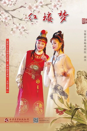 红楼梦(黄梅戏何云版)