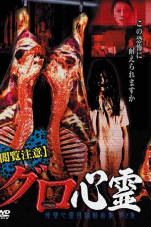 【閲覧注意】 グロ心霊 発禁心霊投稿動画集 第2集』
