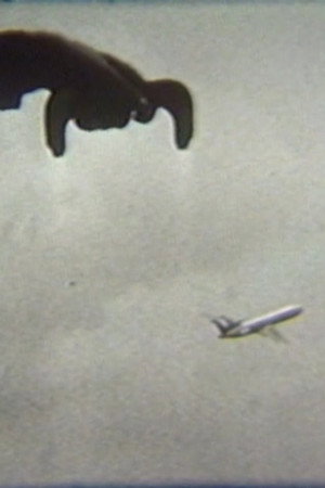 Flying