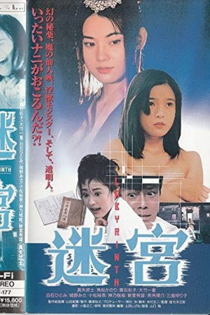 迷宫