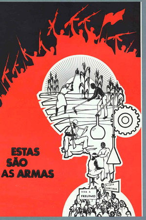 Estas são as armas