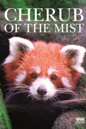 Cherub of the Mist