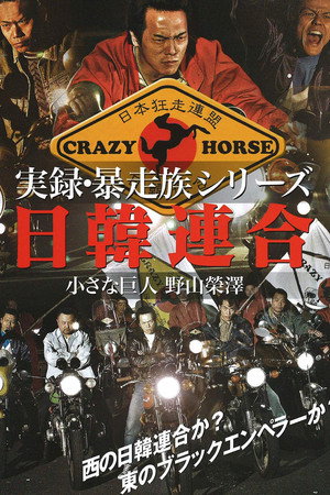 実録・暴走族シリーズ 日韓連合 小さな巨人 野山榮澤