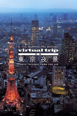 实境之旅：东京夜景