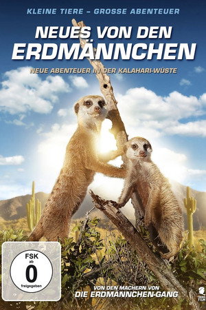 Kalahari Meerkats