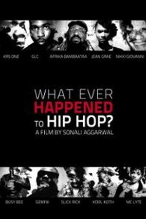 What Ever Happened to Hip Hop?
