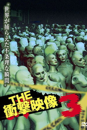 THE 衝撃映像 3