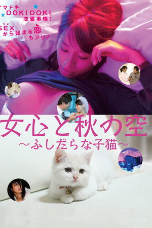 女人心思如秋空:放浪小猫