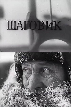 Шаговик