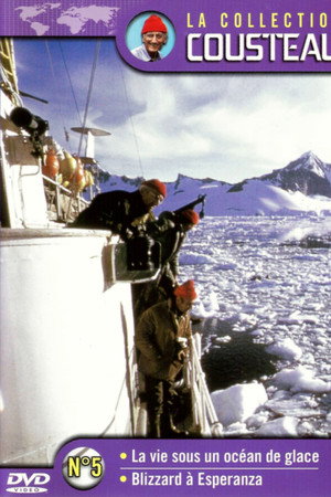 La collection Cousteau N°5 | La vie sous un océan de glace | Blizzard à Esperanza