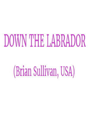 Down the Labrador