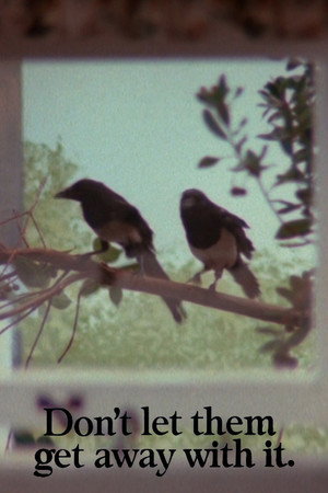 Magpies