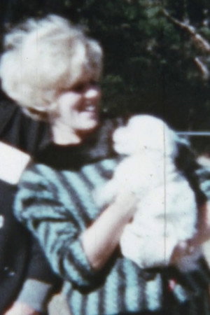 Tiffany Dog Show