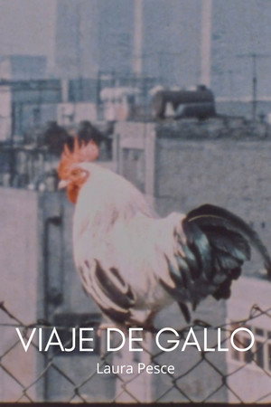 Viaje de gallo