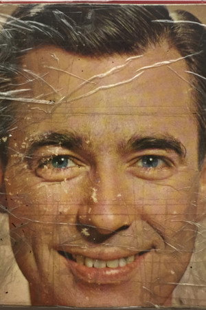 Mr. Wonderful