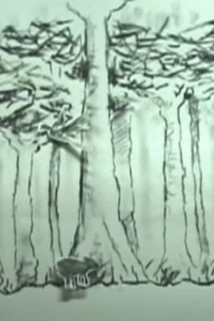 Árboles