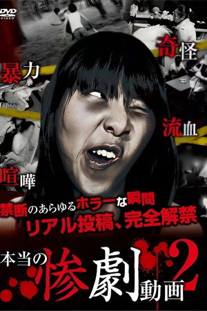 本当の惨劇動画 2