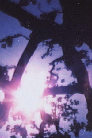 Light Point