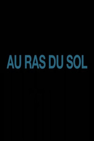 Au ras du sol