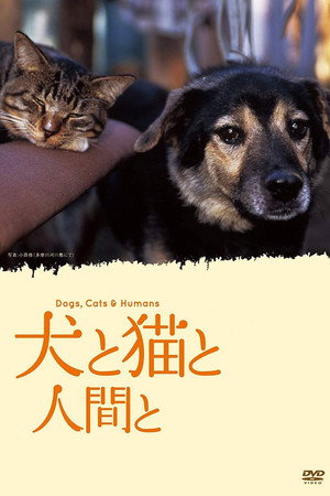犬と猫と人間と
