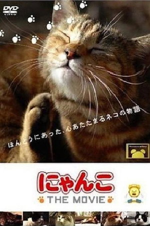 猫咪物语