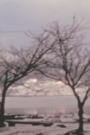 Phenomenology of a Japanese city