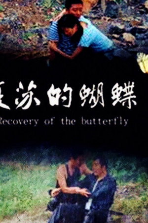 复苏的蝴蝶