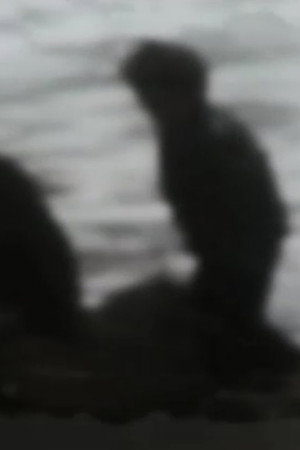 Amphësis