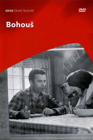 Bohouš