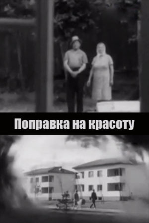 Поправка на красоту