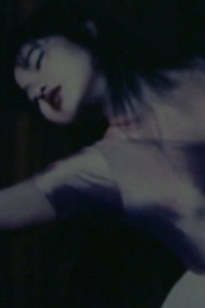 1988, November