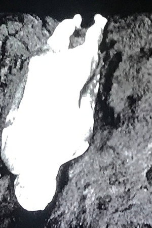 Naissance