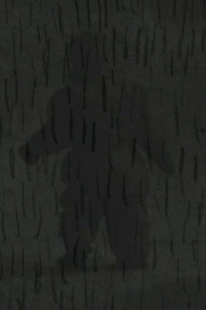 Die Suche