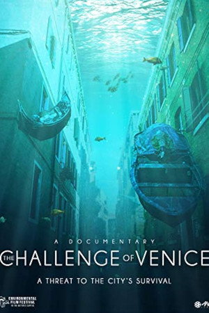 The Challenge of Venice