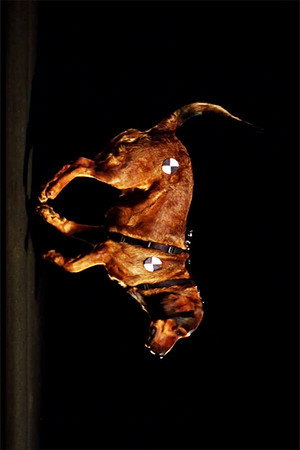 RaumZeitHaund