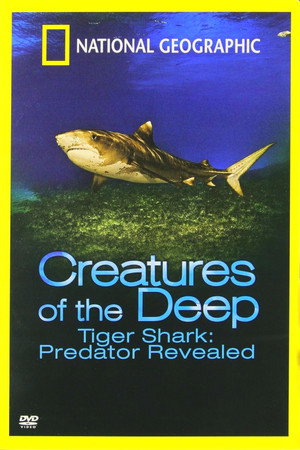 Tiger Shark: Predator Revealed