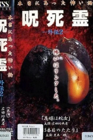 咒.死.灵外传2 本当にあった怖い話 呪死霊 外伝2