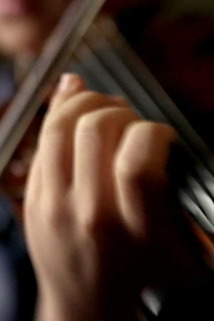 Andrew Dawes: Dynamic Range