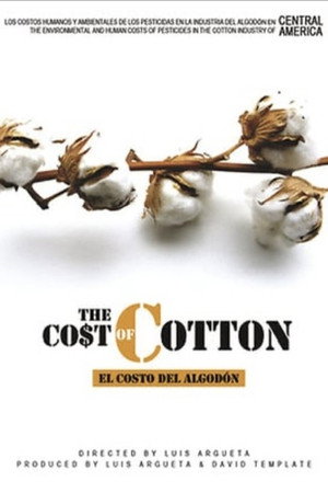 The Cost of Cotton