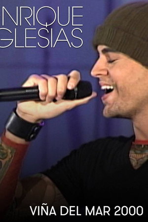 Enrique Iglesias - Viña del Mar
