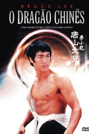 Bruce Lee - O Dragão Chines