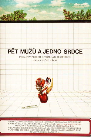 Pět mužů a jedno srdce