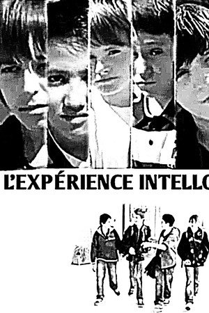 L'expérience Intello