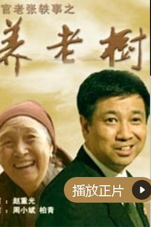 法官老张轶事之养老树