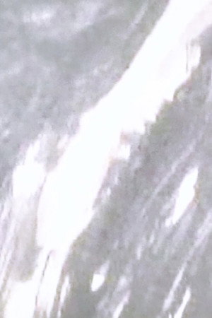 夢